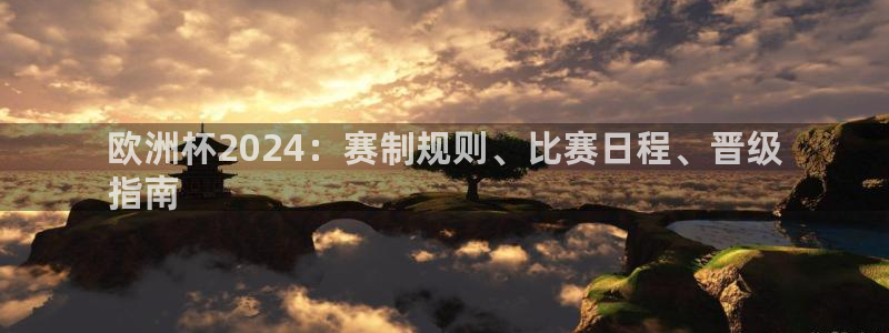 欧洲杯直播平台：欧洲杯2024：赛制规则、比赛日程、晋级
指南