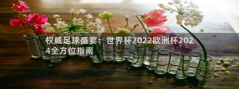 怎么买欧洲杯|权威足球盛宴：世界杯2022欧洲杯202
4全方位指南