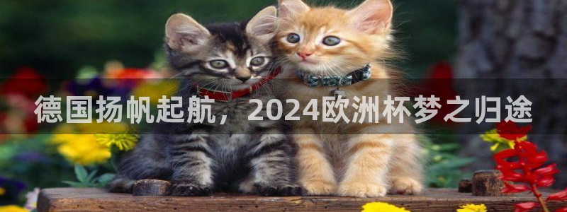 欧洲杯买足球软件|德国扬帆起航，2024欧洲杯梦之归途