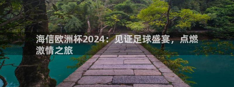 欧洲杯下单平台官方网站|海信欧洲杯2024：见证足球盛宴，点燃
激情之旅