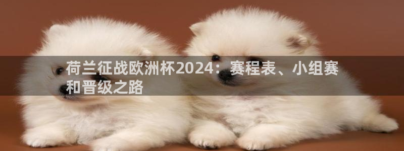 2024欧洲杯押注官网