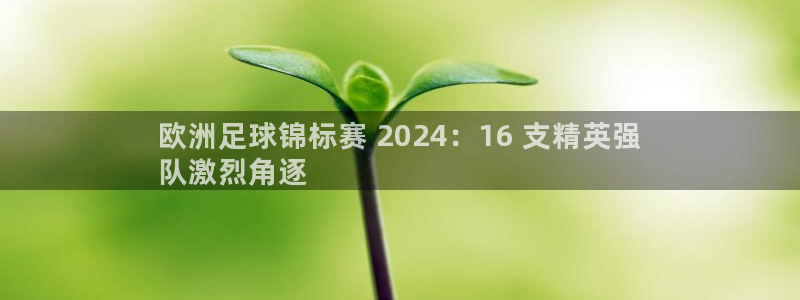 2024欧洲杯买球推荐