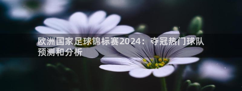 2024年欧洲杯投注